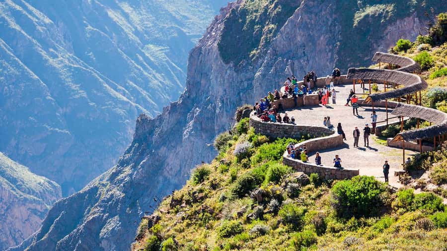 From Arequipa: One Day Trip to Colca Canyon Ending in Puno - Key highlights worth waking up for