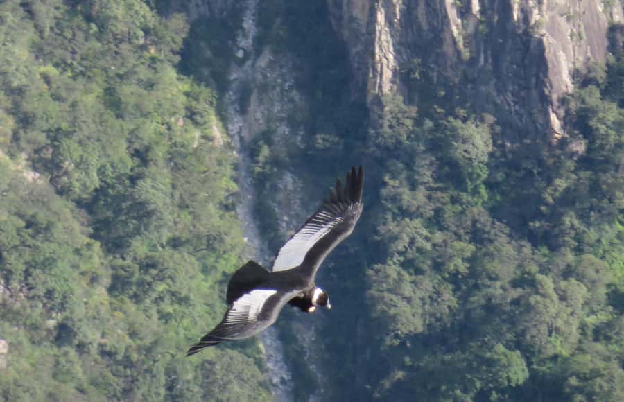 From Arequipa: Tour Colca Canyon 2 Days with End in Puno - Chivay: your private room and the Chacapi thermal soak