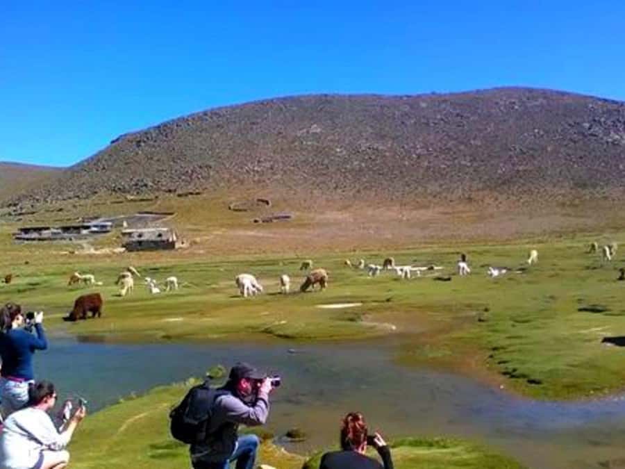 From Arequipa: Tour Colca Canyon 2 Days with End in Puno - Guides, language, and comfort in a small group