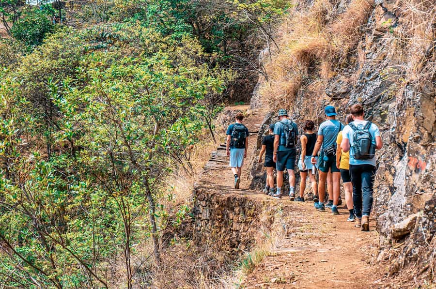From Cusco: 4-Day Inca Jungle Adventure to Machu Picchu - Who this tour fits best, and who should think twice