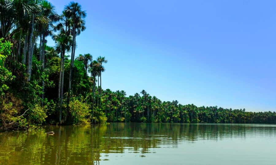 From Cusco: 4 Day Puerto Maldonado Sandoval Lake Excursion - Machiguenga community visit on day four: cultural learning, with respectful boundaries
