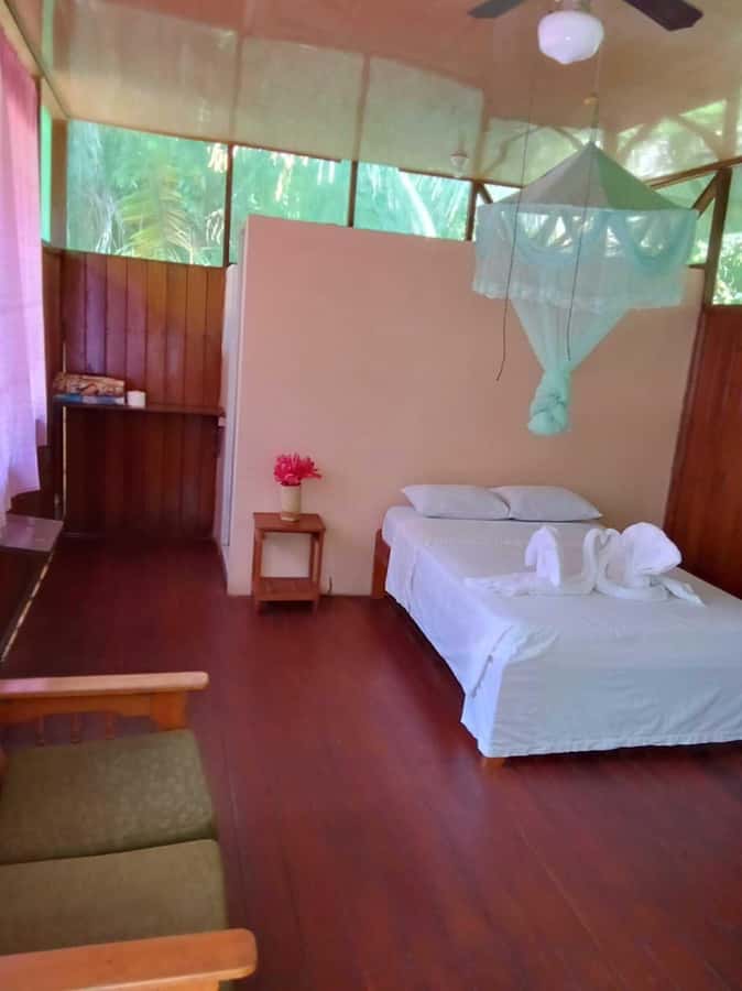 From Cusco: Amazon jungle for two days with sleeper bus and private lodge - Lodge life in the jungle: private bungalow, basic but comfortable