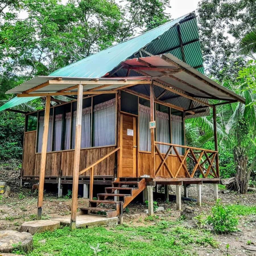 From Cusco: Amazon jungle for two days with sleeper bus and private lodge - Who this Amazon plan fits best