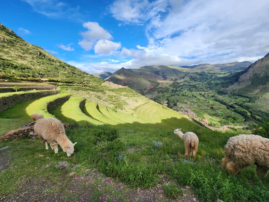 From Cusco: Chinchero, Moray, Maras, Ollantaytambo and Pisaq - Price and logistics: where your $35 goes, and what extra soles may be needed