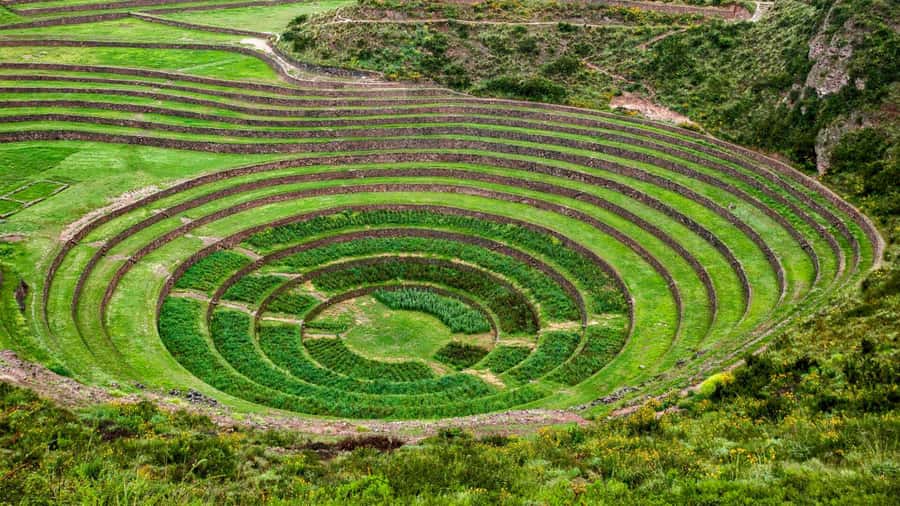 From Cusco: Chinchero Weavers, Moray, Maras Salt Mines Tour - Maras Salt Mines: 3,500-plus ponds and the real work behind them