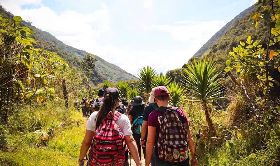 From Cusco: Full-Day Round-Trip Train Tour to Machu Picchu - Why this Cusco-to-Machu Picchu train day works so well