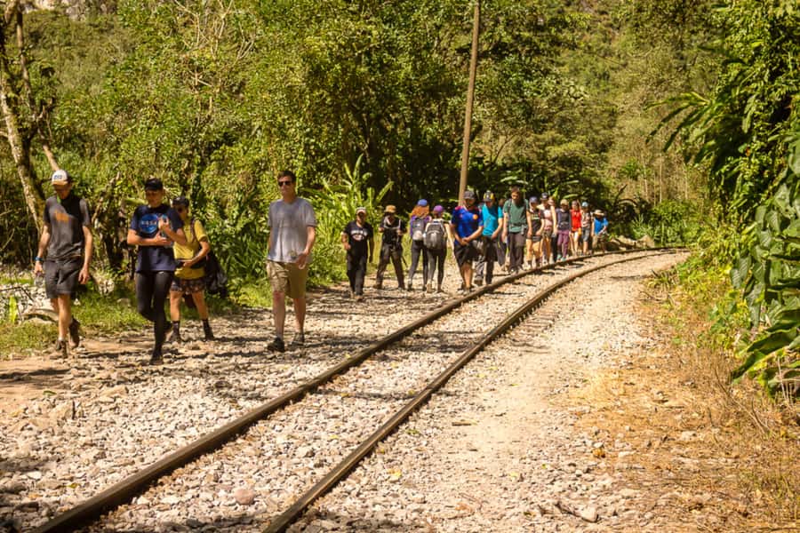 From Cusco: Full-Day Round-Trip Train Tour to Machu Picchu - Choosing your pickup: early 4:00 a.m. vs 6:00 a.m. vs 8:00 a.m.