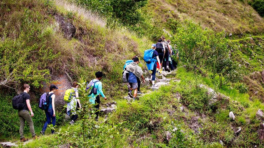 From Cusco: Machu Picchu 2-Day Inca Trail - Who this small group Inca Trail suits best