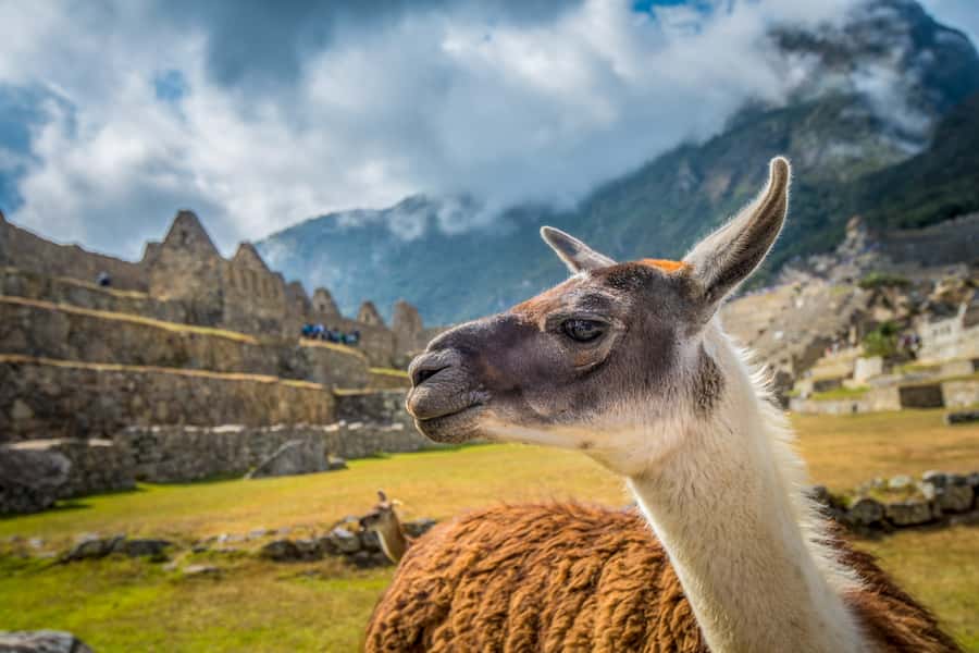 From Cusco: Machu Picchu Full-Day Guided Tour - Aguas Calientes time: using your break instead of wasting it
