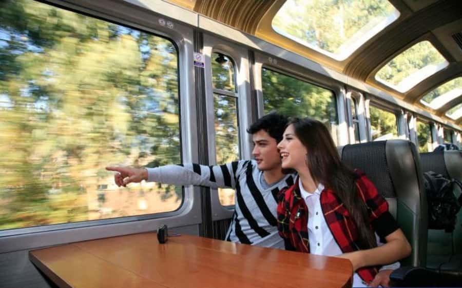 From Cusco: Machu Picchu Private Day Trip on Panoramic Train - Key highlights to know before you go