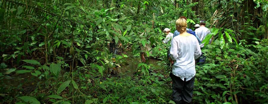 From Cusco: Manu National Park 3 Day Tour - Key highlights to know before you go