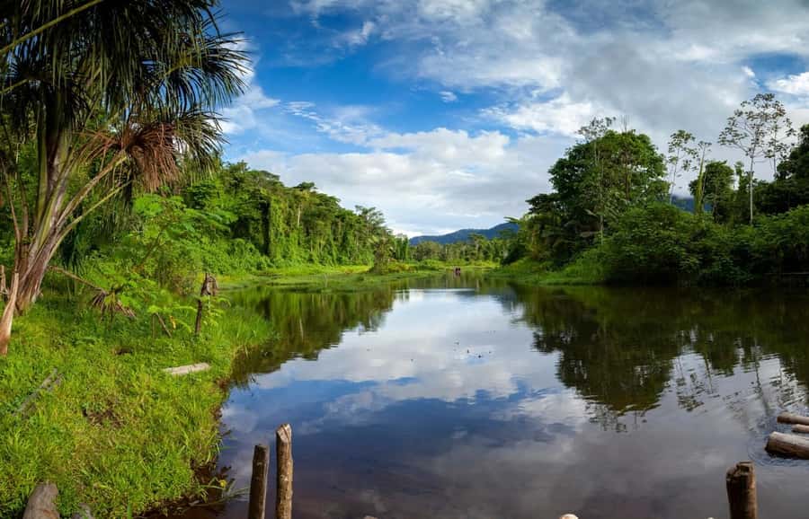 From Cusco: Manu National Park Tour & Accommodation 3 Days - Who Should Book This Manu 3-Day Tour From Cusco