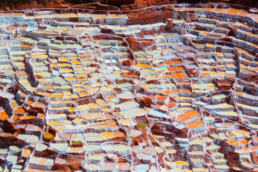 From Cusco: Maras Salt Mines and Moray Half-Day Tour - Price and What You Get for $115