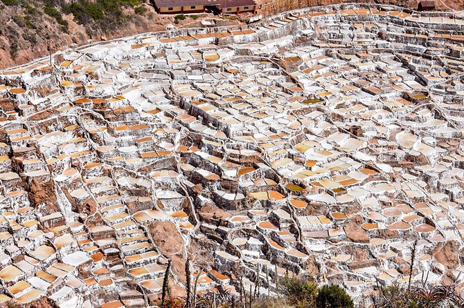 From Cusco: Moray, Maras Salt Mines & Chinchero Weavers Half-Day - Who should book this tour