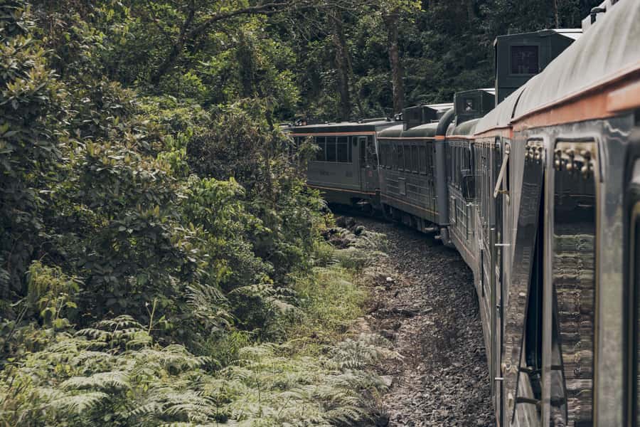 From Cusco: One-Day Tour to Machu Picchu - The Bus Ascent and Your First Real Look at Machu Picchu