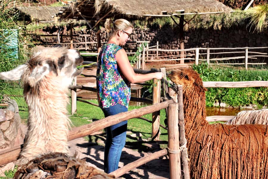 From Cusco: Private Pisac Ruins and Alpaca Farm Day Trip - Entering Pisac Archaeological Park and Walking the Inca Trail