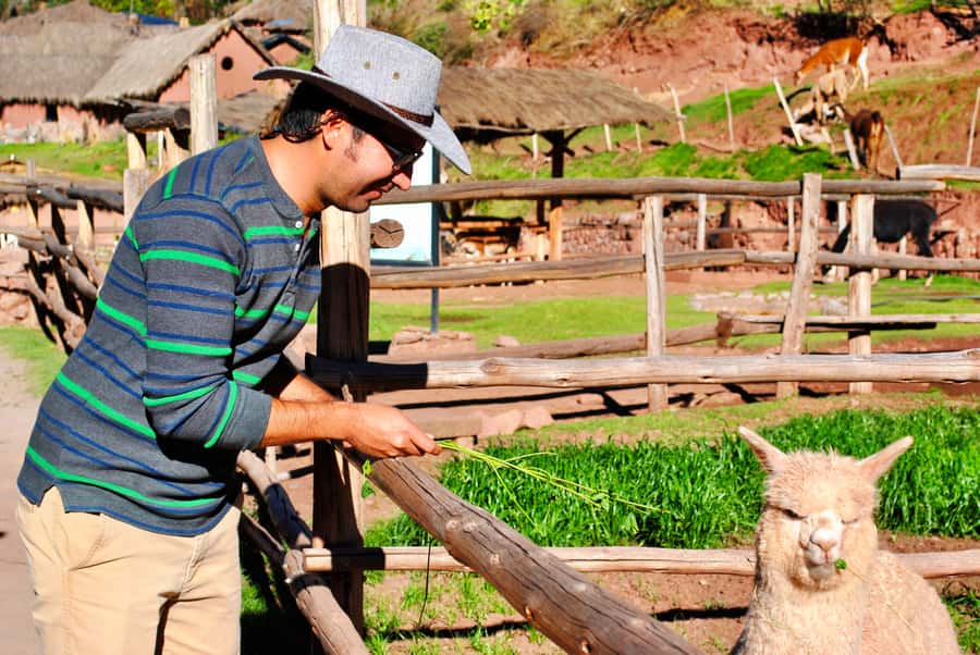 From Cusco: Private Pisac Ruins and Alpaca Farm Day Trip - Coming Down to Pisac Town and the Local Market Break