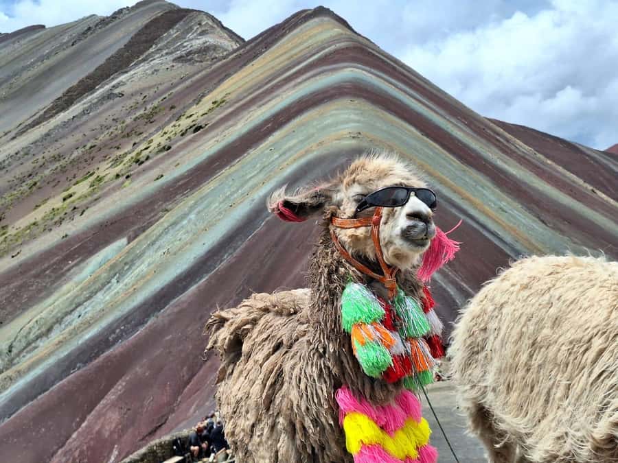 From cusco: Rainbow Mountain ATV Tour with meals - Price and value: what you pay and what costs extra