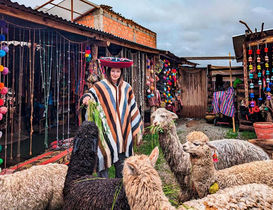 From Cusco: Sacred Valley & Moray, Salt Mines with Lunch - Chinchero District: textiles first, then a shop you can actually enjoy
