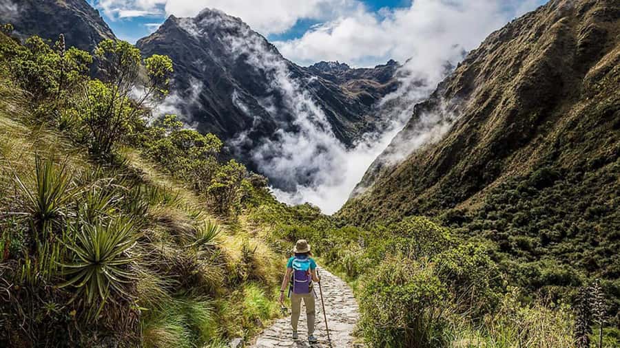 From Cusco: Salkantay trek 5 days/4 nights meals included - Day 5: Machu Picchu at first light, guided tour, back to Cusco