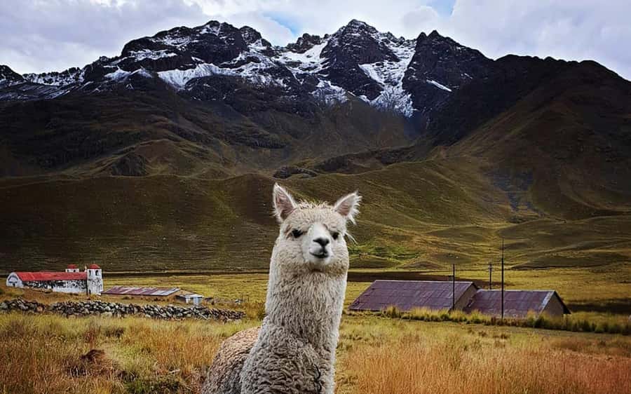 From Cusco: Titicaca lake with the route of the sun in 2 day - Who should book this 2-day Titicaca trip