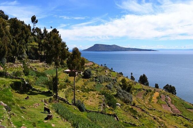 From Cusco to Lake Titicaca: 2-Day Homestay Tour - From Cusco to Puno: the overnight bus that sets the tone