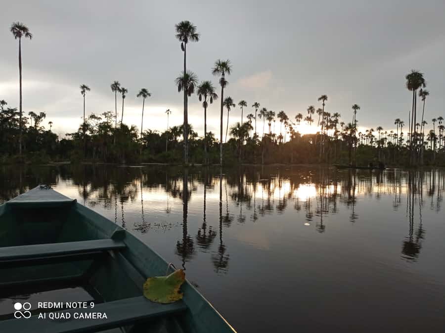 From Puerto Maldonado: 4-Day Excursion /wildlifesearch - Key highlights worth planning around