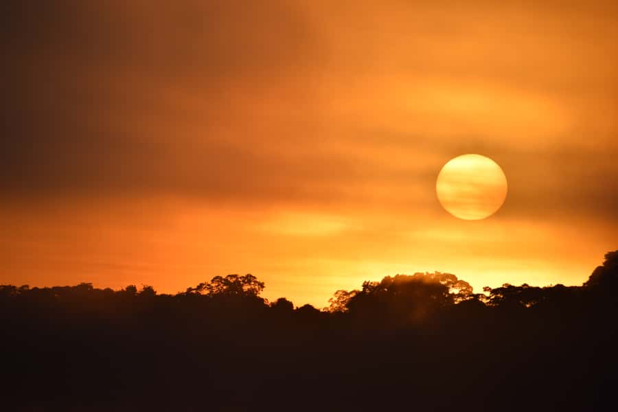 From Puerto Maldonado: 4-Day Excursion /wildlifesearch - Getting into the Tambopata zone from your first check-in