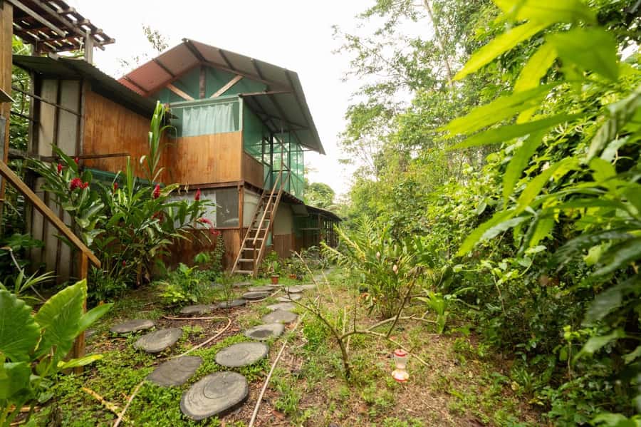 From Puerto Maldonado: 4-Day Excursion /wildlifesearch - Price and what you truly get for $425