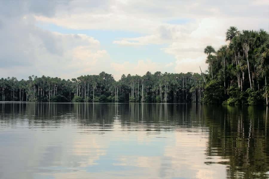 From Puerto Maldonado - Tambopata 4D/3N - Tambopata 4D/3N: Why Puerto Maldonado feels like a real Amazon on your first day