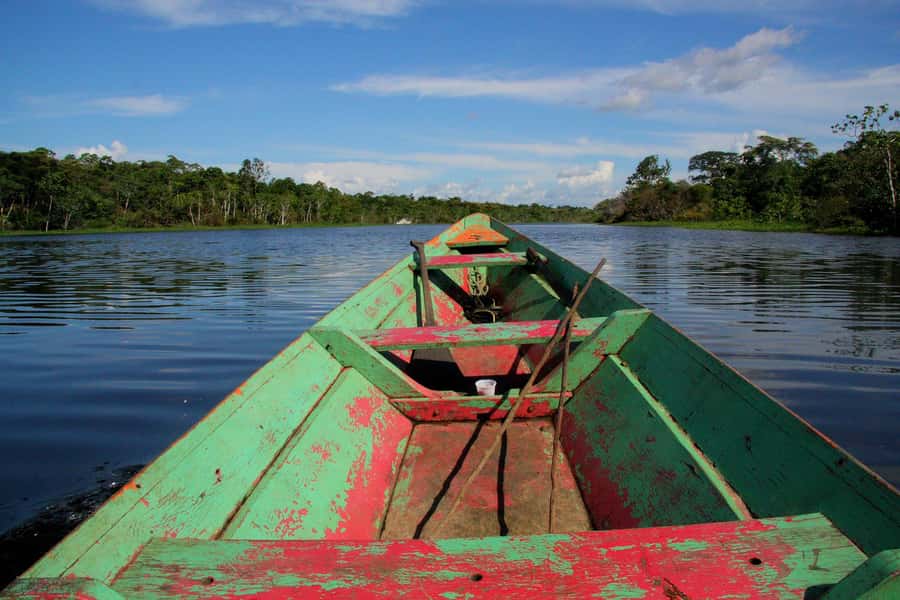 From Puerto Maldonado - Tambopata 4D/3N - Day 2 at Collpa Chuncho: Clay lick spectacle plus river wildlife