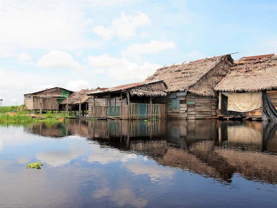 From Puerto Maldonado - Tambopata 4D/3N - The guides and lodge setup that people love most
