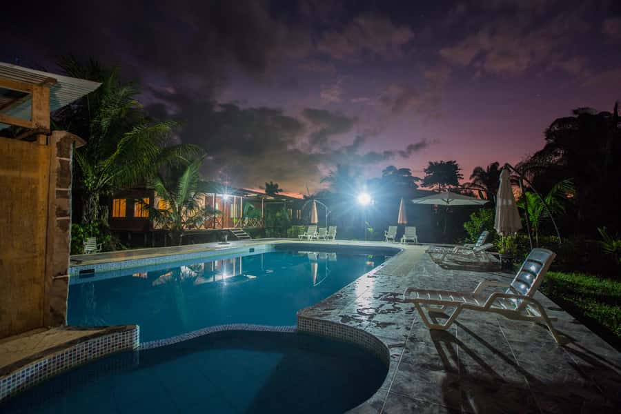 From Puerto Maldonado: Tambopata National Reserve 3-Day Tour - Day 2: Sandoval Lake hike, giant otters by small boat, sunset, optional night wildlife