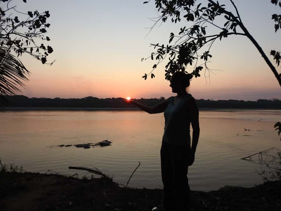 From Puerto Maldonado: Tambopata National Reserve 3-Day Tour - Day 3: Canopy lookouts, hiking plus suspension bridge, then back to Puerto Maldonado