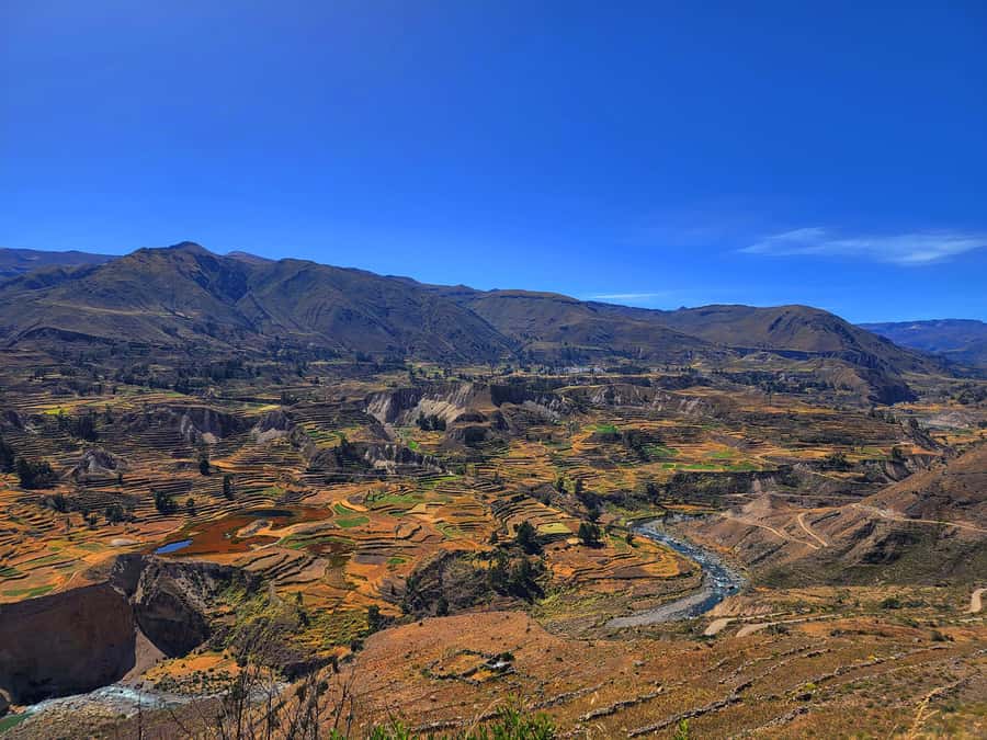 From Puno: 2-Day Tour to Colca Canyon ending in Arequipa - Day 2: Colca Canyon approach, Maca church, Antahuilque terraces