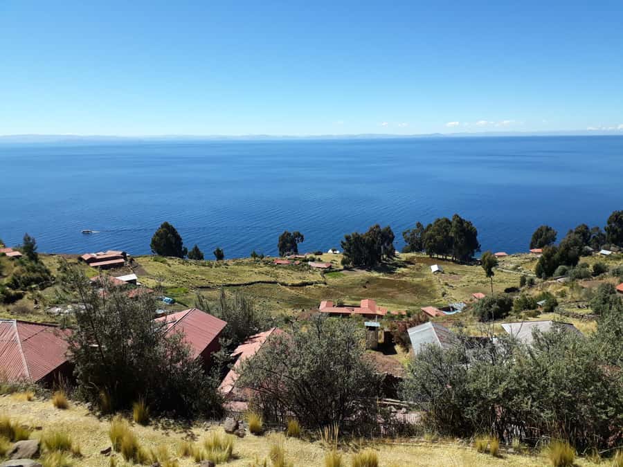 From Puno: full day tour to Uros and Taquile with Lunch - What to Bring, Plus the Stuff That Actually Matters