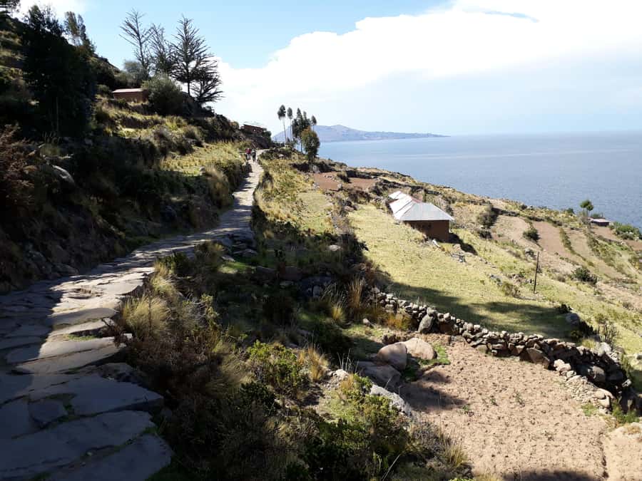 From Puno: full day tour to Uros and Taquile with Lunch - Speedboat Segments on Titicaca: Fast Travel With Scenic Payoff