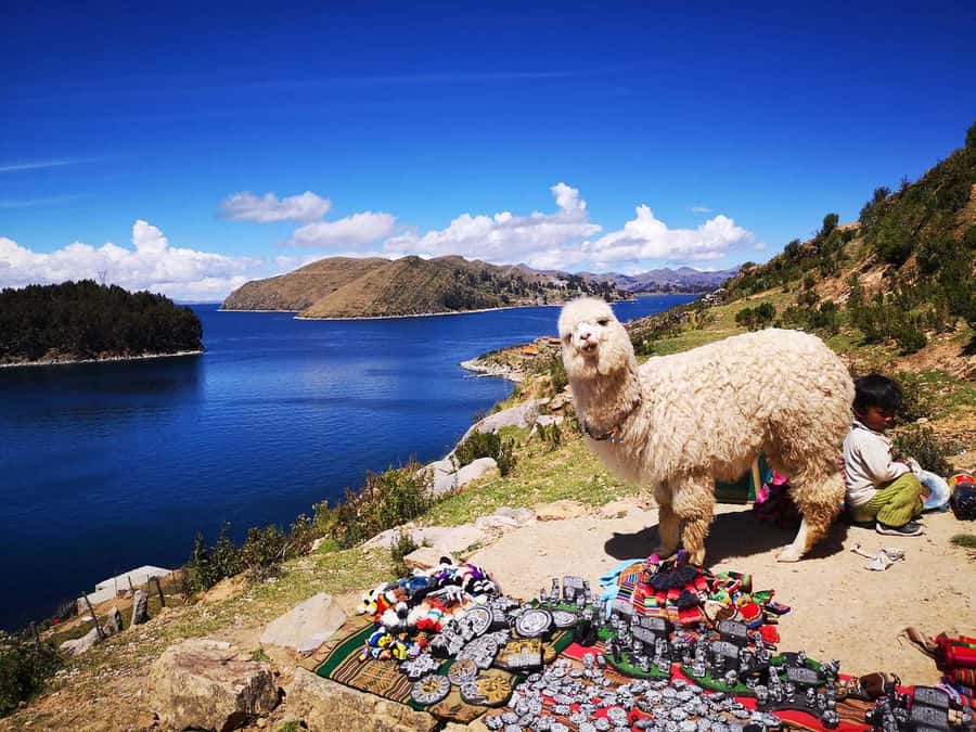 From Puno: Sun Island and Copacabana 1-Day Tour - From Puno to the border: the long day starts early