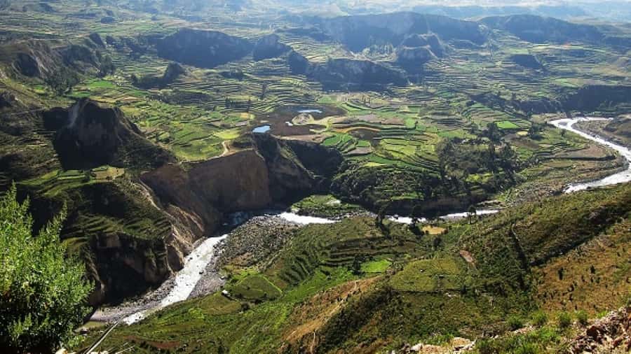 From Puno to Arequipa: 2 Days/1 Night Colca Canyon Tour - Patahuasi, Viscachanito, and Patapampa: The Route’s Acclimatization Moment