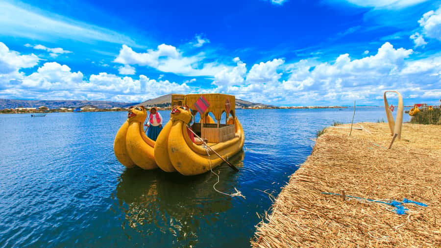 From Puno: Travel to Cusco in Titicaca Train All Inclusive - Seat reality and logistics tips that save your trip