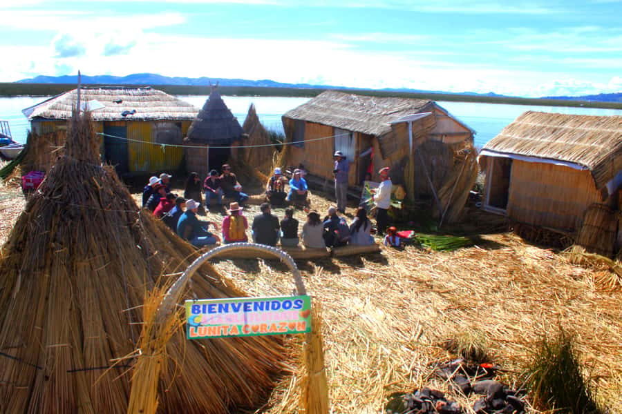 From Puno: Uros floating islands half Day tour - From Puno to the bay: transfers, timing, and the boat ride