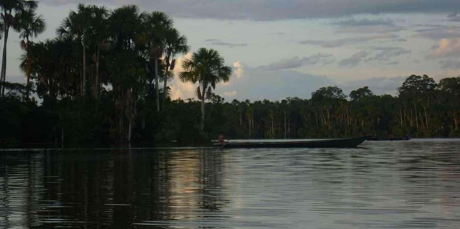 From Tambopata: Amazon Jungle Hike and Lake Sandoval 1-Day - Key things to know before you go