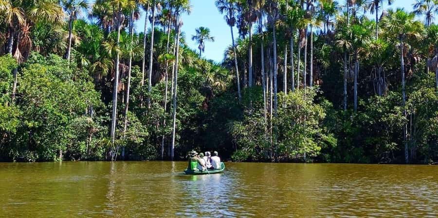 From Tambopata: Amazon Jungle Hike and Lake Sandoval 1-Day - Canoe on Lake Sandoval: where sightings often happen