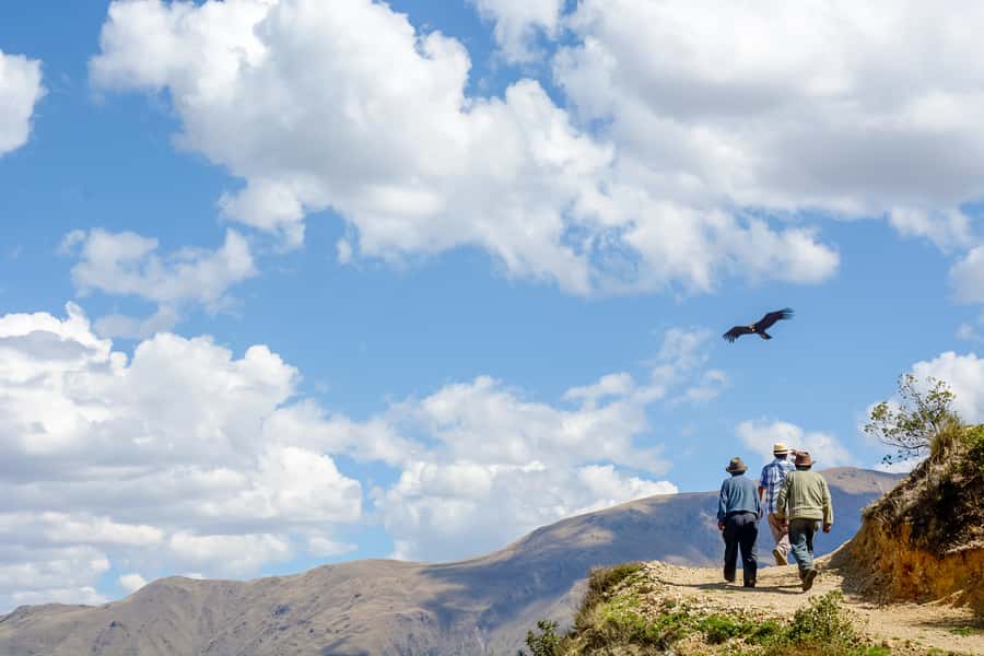 Full-Day Condor Viewpoint & Inca Sites Tour - From Cusco altitude to Limatambo valley, how the day is paced