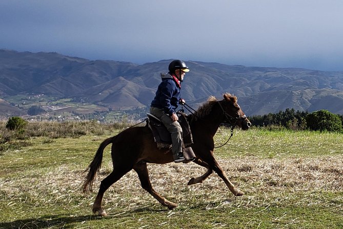 Half day Horseback Riding tour around Sacsayhuaman park - Cusco to Sacsayhuaman, round-trip transport is included