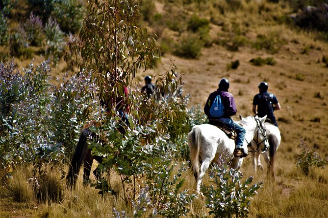 Horse Riding Chacan Mountain And Temple Of The Moon - How safe is it, and what you actually get before you ride