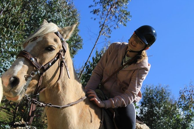 Horse Riding Chacan Mountain And Temple Of The Moon - What $65 buys you in real value