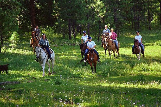 Horseback Riding Plus Tour to Sacsayhuaman, Quenqo, Puka Pucara and Tambomachay - Stop 1: Sacsayhuaman, where the stonework does the talking
