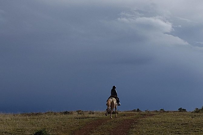 Horseback Tour in cusco to Temple of the Moon & Hidden temples - Key highlights at a glance