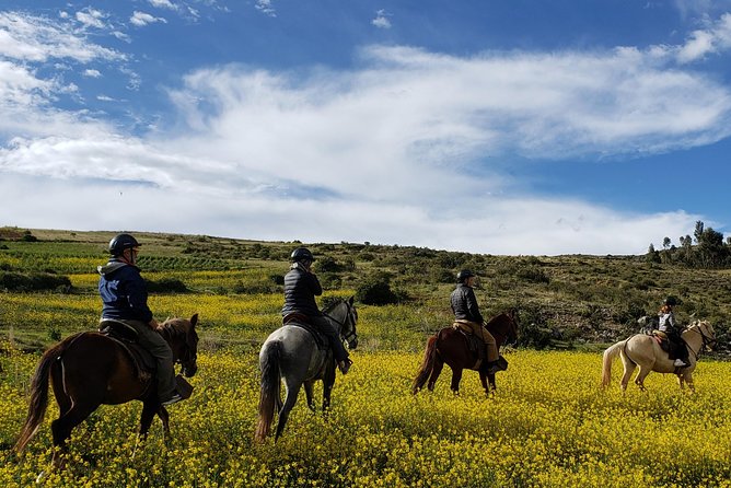 Horseback Tour in cusco to Temple of the Moon & Hidden temples - Cost, what you actually get for $65